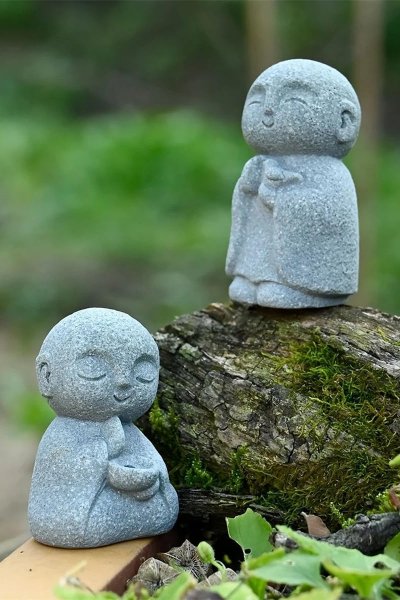 71Z1fFPhvbL._AC_SL1200_